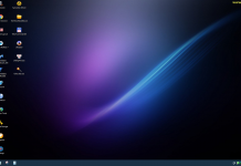 Tải về Hiren’s BootCD Custom v2020 ( MBR-UEFI) – Boot cứu hộ WIN10PE X64