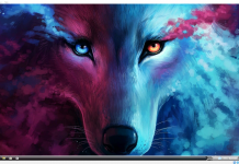 Tải về Dark Wolf’s MPB – Windows 10 Pro 21H1 19043.1081 x64 by TeamOS