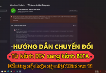 Hướng dẫn chuyển đổi tài khoản DEV sang BETA cho Windows 11