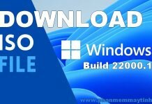 Tải về Windows 11 Pro build 22000.168 x64 ISO MSDN