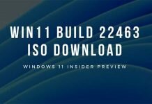 Download Windows 11 build 22463.1000 ISO MSDN En-US