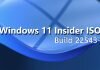 Tải về Windows 11 Insider Preview Dev Build 22543 ISO